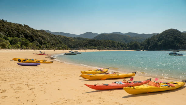 Canoes on the beach in Anchorage Bay, Abel Tasman national park, New Zealand For an active day out, walk the most varied section of the Abel Tasman Coast Track which features the impressive Falls River Swing Bridge (15–20 metres high, depending on the tide), Torrent Bay inlet, Cleopatra's Pool and Anchorage Beach. abel tasman national park stock pictures, royalty-free photos & images