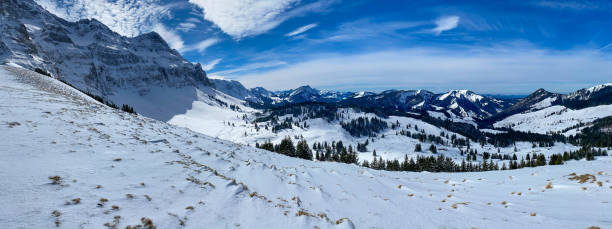 istock Winter landscape with spruces covered in snow 1214660640