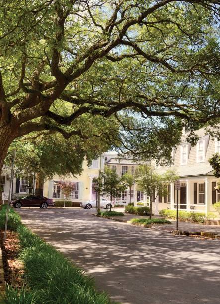 istock Homes, Savannah, Georgia. 1214661400