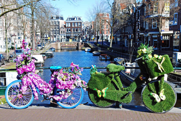 zwei fahrräder mit einer aufwendigen dekoration von blumen und gras. - waterdam stock-fotos und bilder