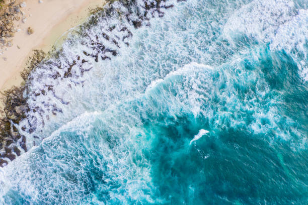 istock Big ocean waves hitting a rocky beach. View from above. 1214670041