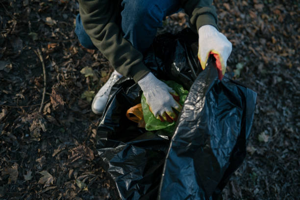 istock A woman collects dirty garbage on fallen leaves, close-up. Ecosystem pollution, plastic waste in the forest 1214671981