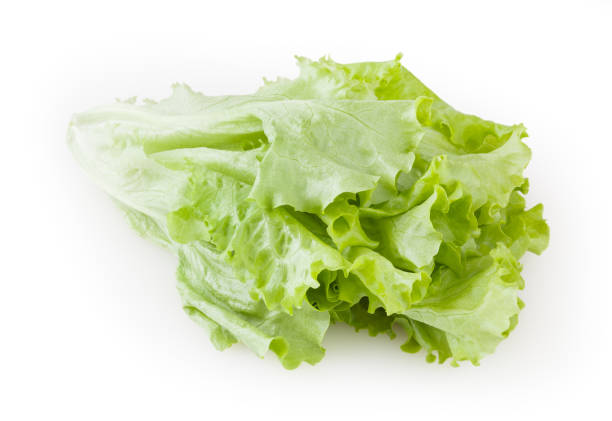 istock Fresh lettuce isolated on white background with clipping path 1214674704