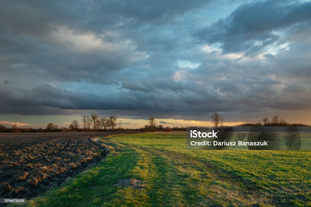 Dynamic Sunset Field Dynamic Storm Clouds On Sky Backlit By Sunset Green Meadow And Field ...