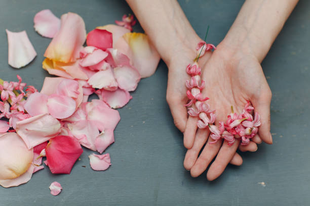 istock Pink flower petals in woman's hands 1214676361