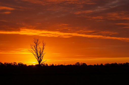 Beautiful sunset. Orange clouds in the sky. Horizon. Twilight