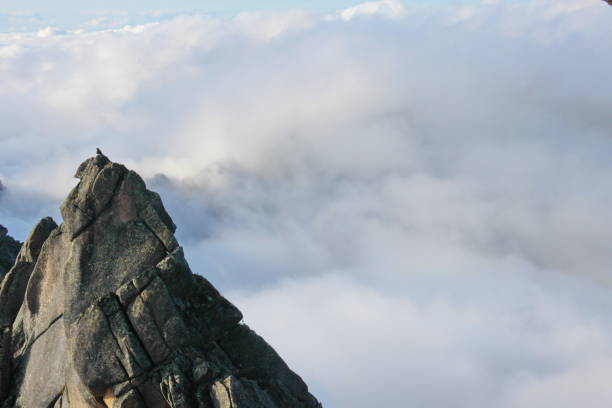istock View from mountain bird pass, western sayans, ergaki 1214679498