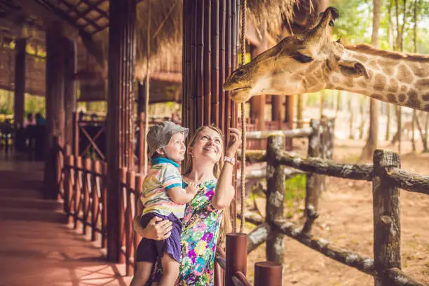 Photo of Happy mother and son watching and feeding giraffe in zoo. Happy family having fun with animals safari park on warm summer day