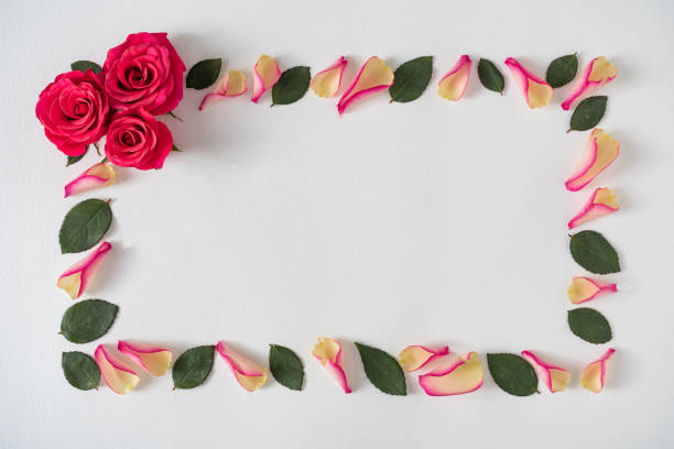istock Creative border frame made with rose petals and leaves. Minimal nature background. 1214687132