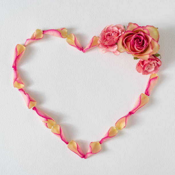 istock Creative layout made with rose petals and pink flowers. 1214687215