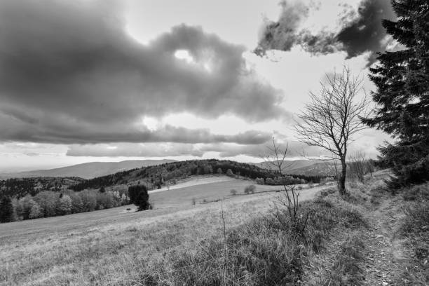 istock landscape black and white france 1214690557