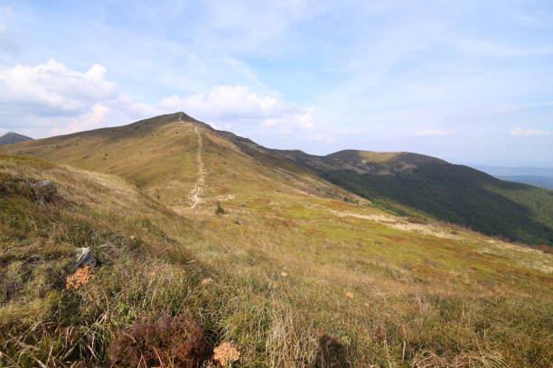 istock Bieszczady National Park in Poland 1214692502