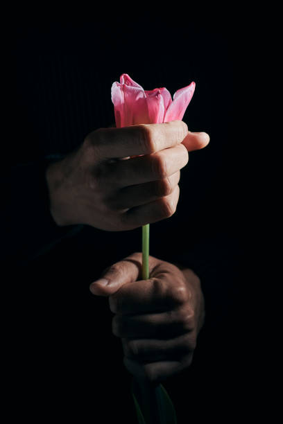 istock man with a pink tulip in his hand 1214695674
