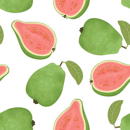 guayaba vector gratis | ¡Descargalo ahora! guayaba vector gratis | ¡Descargalo ahora!