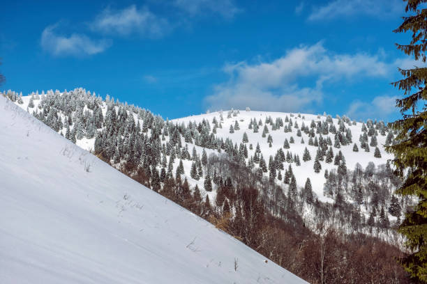 istock Big Fatra mountains, Slovakia, snowy landscape 1214704457