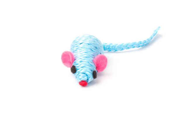 istock blue toy mouse for pet isolated on white background 1214706456