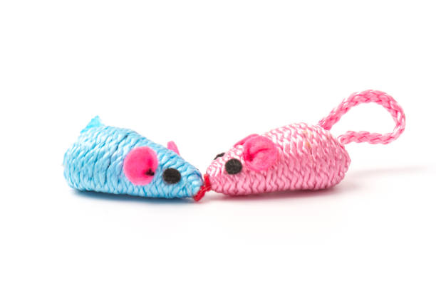 istock blue and pink toy mouse for pet isolated on white background 1214706534