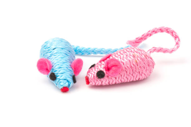 istock blue and pink toy mouse for pet isolated on white background 1214706566