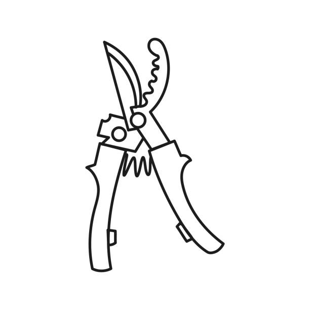 Simplified outline vector illustration of a metal farm secateur on a white background. Simplified outline vector illustration of a metal farm secateur on a white background. For use as a sign or symbol branch trimmers stock illustrations