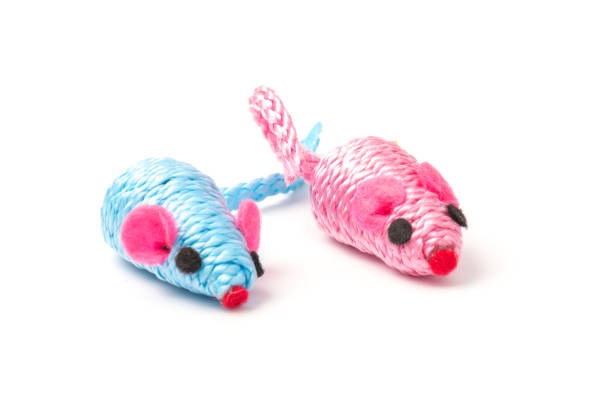 istock blue and pink toy mouse for pet isolated on white background 1214707924