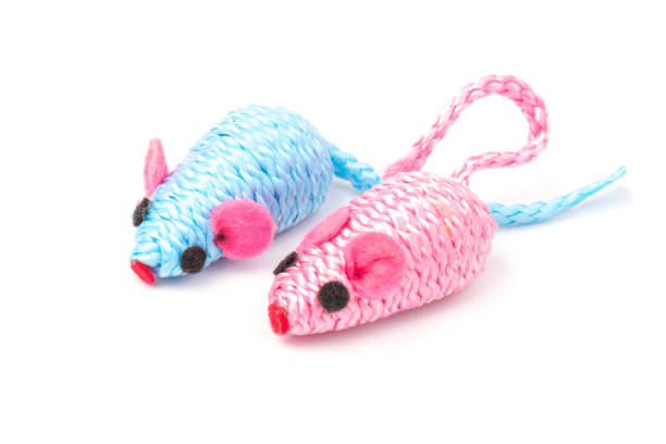 istock blue and pink toy mouse for pet isolated on white background 1214707996