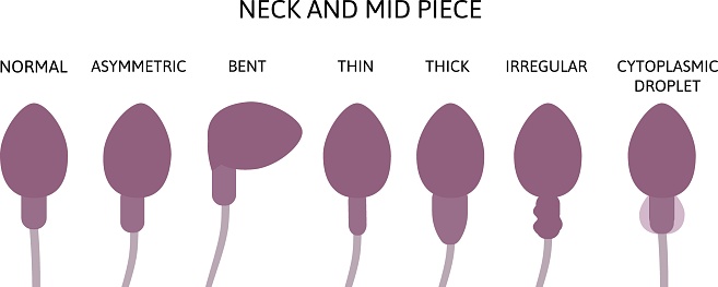 сперма на голове