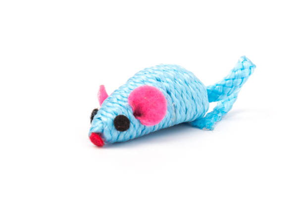 istock blue toy mouse for pet isolated on white background 1214708153