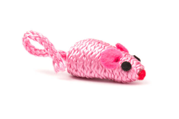 istock pink toy mouse for pet isolated on white background 1214708171