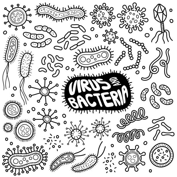 viren und bakterien schwarz und weiß doodle illustration. - swine flu stock-grafiken, -clipart, -cartoons und -symbole