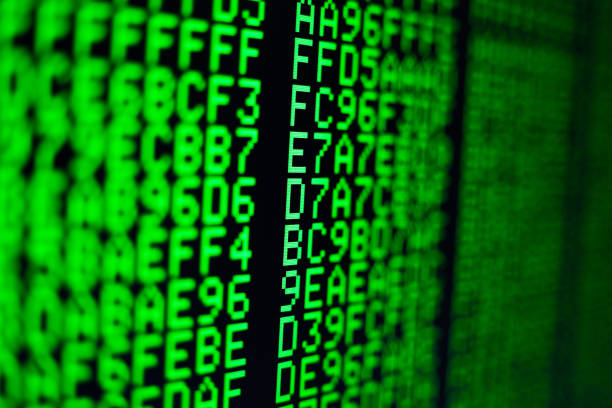 Computer code on the screen Computer code on the screen. Programming language. Green numbers and letters. Computer science. python programming language photos stock pictures, royalty-free photos & images