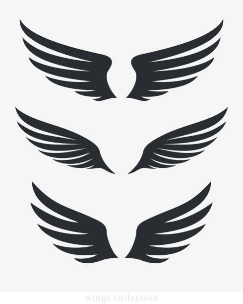 kolekcja wektor wings. prosta sylwetka skrzydła do heraldyki, tatuażu, logo lub innych symboli - phoenix tattoo bird wing stock illustrations