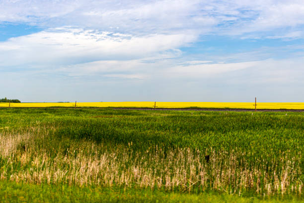 istock Manitoba & Saskatchewan Landscape, Transcanada Hwy 1214711736