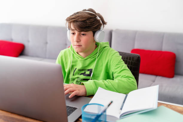 istock Young boy is studying in front of the laptop. E learning, study at home online. 1214711848