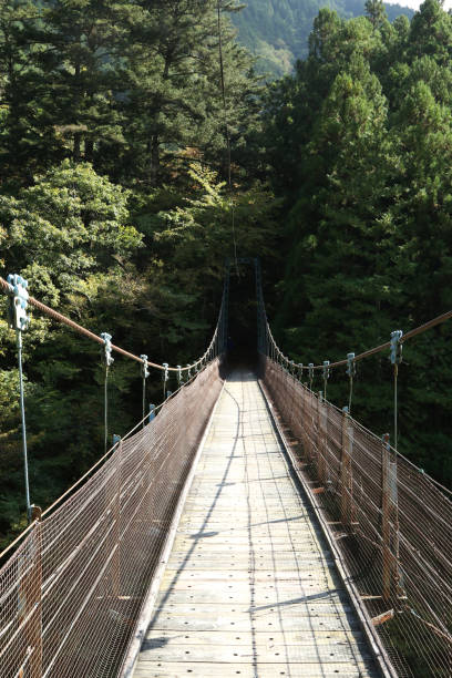 istock Okutama Mukashi Michi Hike - Japan 1214711939