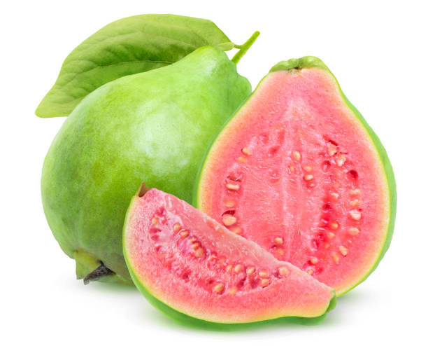 Guayaba - Banco de fotos e imágenes de stock - iStock Guayaba - Banco de fotos e imágenes de stock - iStock