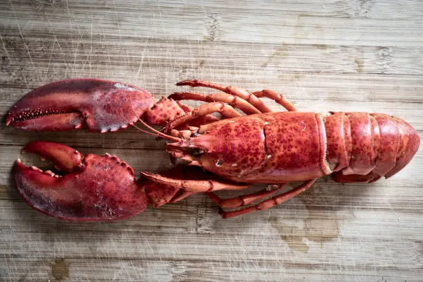 Photo of Red lobster with vegetable and lemon on wooden cutting board background , top view / Lobster dinner