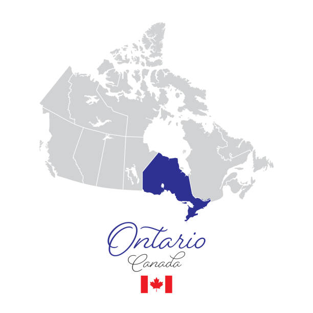 온타리오, 에서 캐나다 벡터 맵 일러스트 - ontario stock illustrations