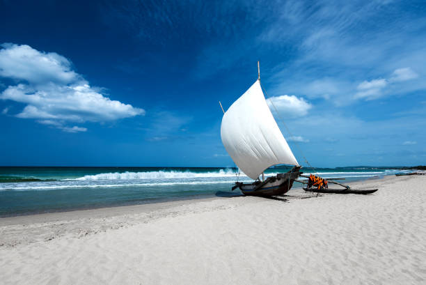 istock Beautiful landscape in Sri Lanka 1214713612