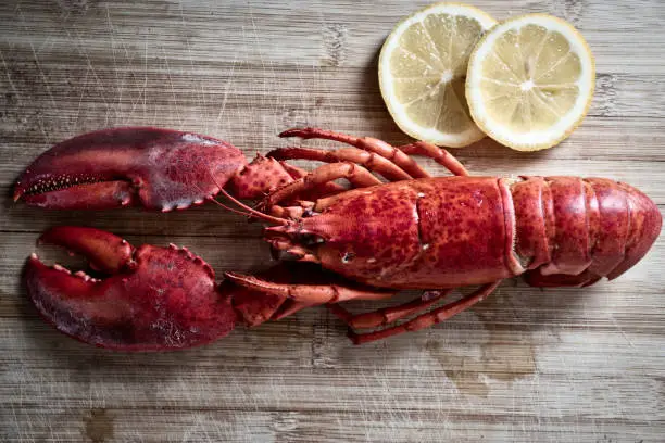 Photo of Red lobster with vegetable and lemon on wooden cutting board background , top view / Lobster dinner