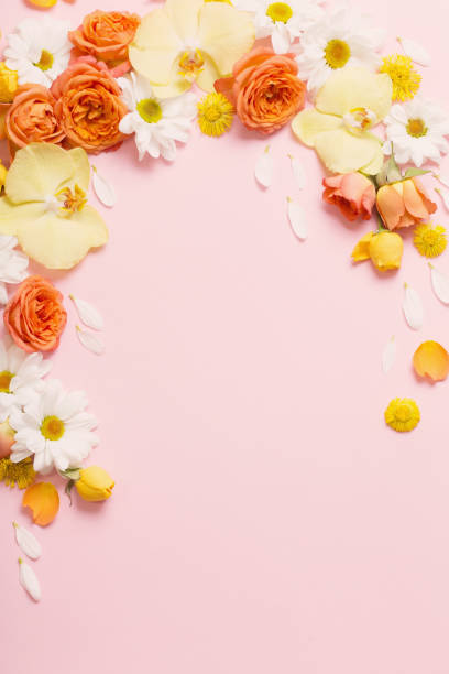 istock beautiful floral pattern on pink paper background 1214714334