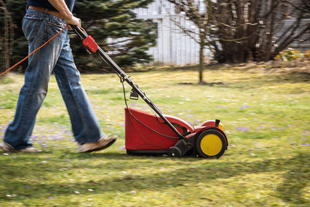 istock Gardener verticutting the lawn at spring 1214714884
