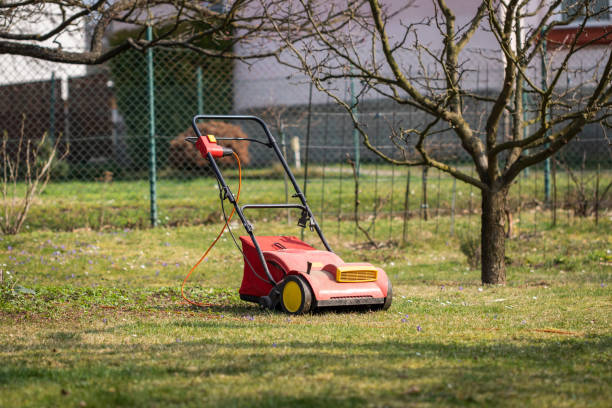 istock Verticutter in garden, gardening equipment 1214715086