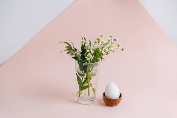 istock Long shot of a white egg in a wooden egg stand over pink surface 1214715929