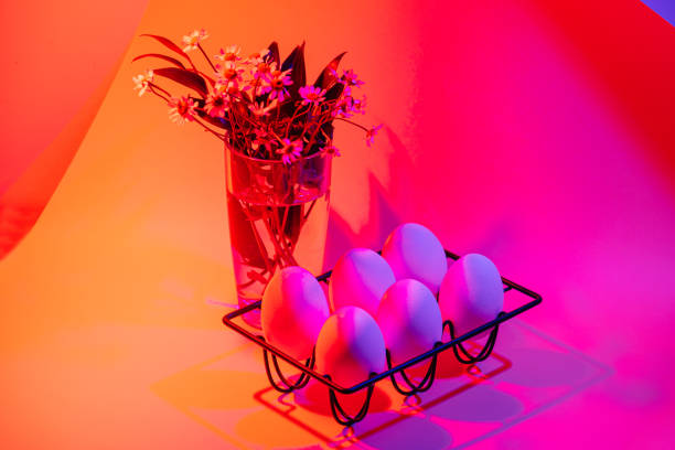 huevos de pollo sobre un portahuevos metálico y gamuzas sobre fondo tenue iluminado de neón - easter flower purple frame fotografías e imágenes de stock