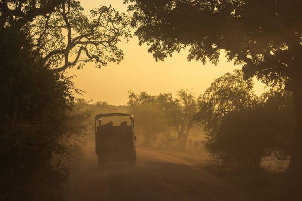 istock Yala National Park, Sri Lanka 1214716113