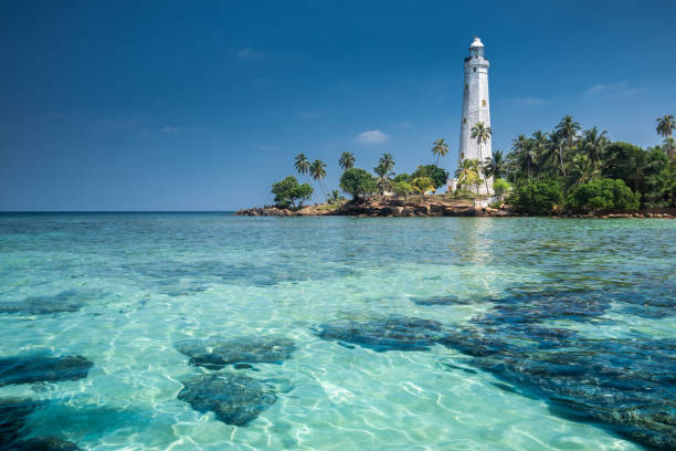 istock Beautiful beach landscape in Sri Lanka 1214716520