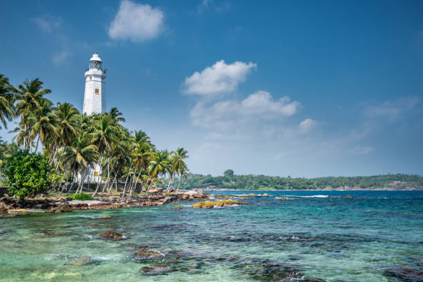 istock Beautiful beach landscape in Sri Lanka 1214716536