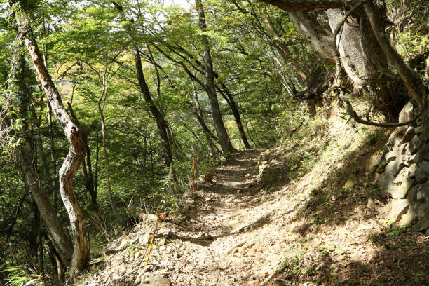 istock Okutama Mukashi Michi Hike - Japan 1214718290