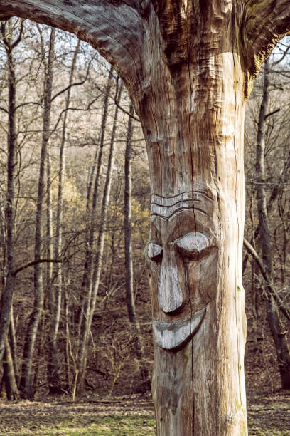 istock Face carved in dead tree, Slovakia 1214718566
