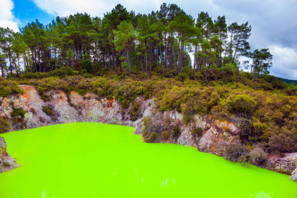 New Zealand, North Island. Devil's Bath with bright green water. Volcanic Valley Waimangu, Wai-O-Tapu. The unique geothermal area of Rotorua. Extreme, exotic and photo tourism concept